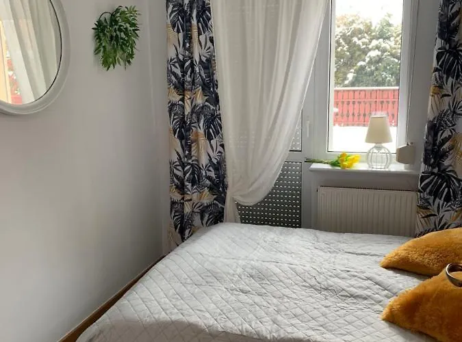 Dağ evi Witkacowka Zakopane